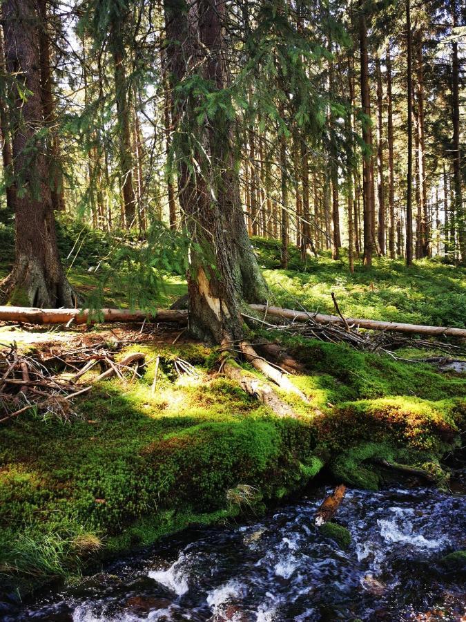 Chillout-Aparts Świeradów-Zdrój Exterior foto